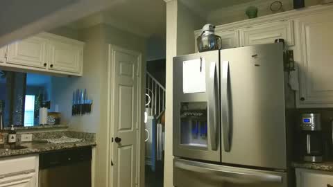 riley depp online show from 02.14.25