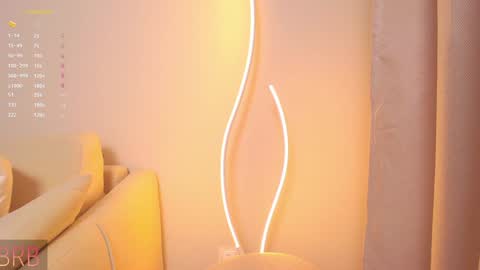 Snapshot of rinassecret chatting on 12.08.24 Rina online show from 12.08.24