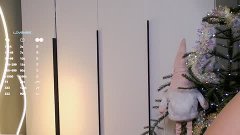 Snapshot of rinassecret chatting on 12.25.24 Rina online show from 12.25.24