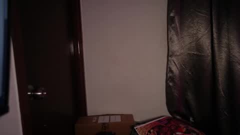 Snapshot of riniryokouwu chatting on 10.28.25 online show from 10.28.25