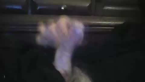 rlpl online show from 02.23.26