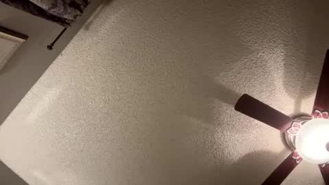 Snapshot of rluxe2676 chatting on 01.21.25 BwC4Breed online show from 01.21.25