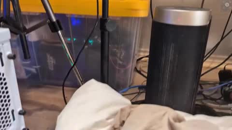 Ryan aka KeylimeRy online show from 03.11.25