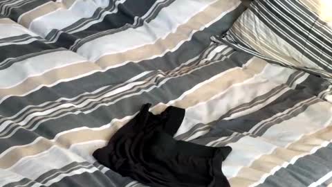 Snapshot of rob616580 chatting on 01.13.26 rob616580 online show from 01.13.26