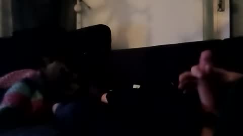 robbdmser3454 online show from 03.06.26