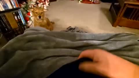 robbiebob6828 online show from 01.09.26