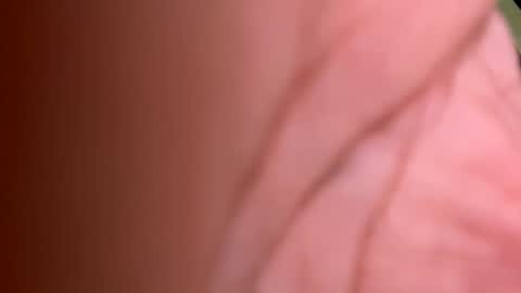 roberto925 online show from 01.10.25