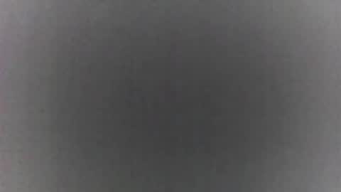 roberttocumcum online show from 02.19.26