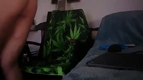 Zenek online show from 02.01.26