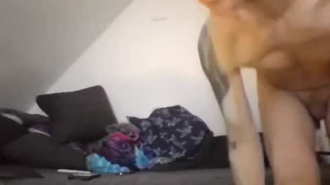 Zenek online show from 02.26.26