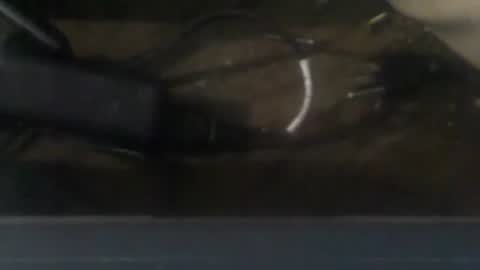 Snapshot of robincom23 chatting on 12.20.24 R online show from 12.20.24