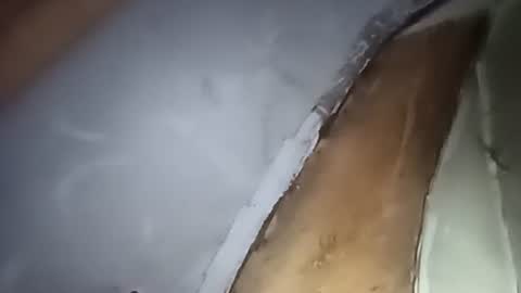 Snapshot of robincom23 chatting on 10.01.25 R online show from 10.01.25