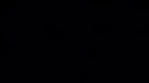 robke1966 online show from 12.14.24