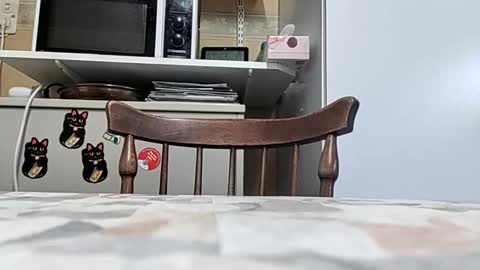 robke1966 online show from 03.24.26