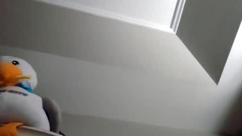 rodbuilttough79 online show from 11.08.25