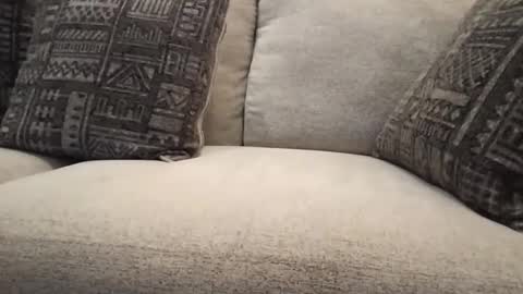 roger59267 online show from 10.31.25