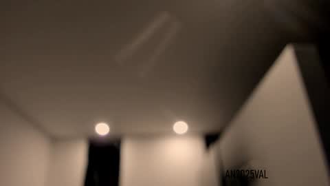 Snapshot of roldansvalery chatting on 01.04.25 Valery Roldans online show from 01.04.25