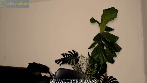 Snapshot of roldansvalery chatting on 02.04.25 Valery Roldans online show from 02.04.25