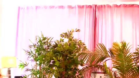 Rosa online show from 07.27.26