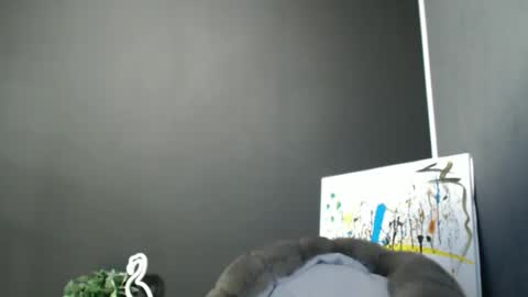 Snapshot of rosaline_ly chatting on 11.24.25 Rosalina online show from 11.24.25