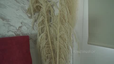 Lyla OF roselinedior online show from 12.01.25