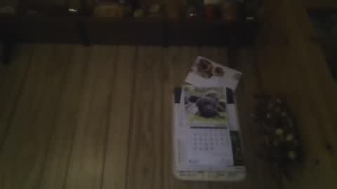 Snapshot of roses2u1958 chatting on 01.01.25 roses2u1958 online show from 01.01.25