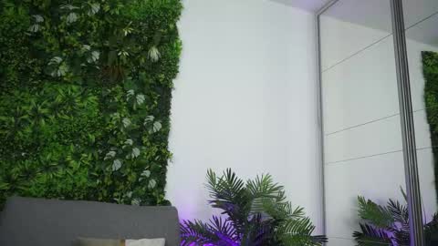 Amii online show from 04.15.26