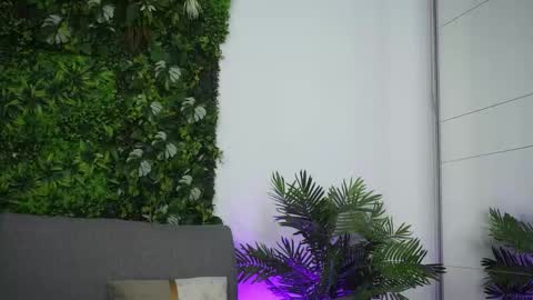 Amii online show from 04.15.26