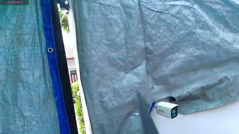 Rosy Shy online show from 04.03.26