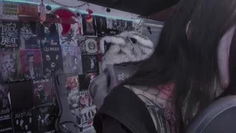 rot online show from 03.01.26