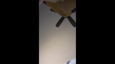 No More Vanilla online show from 04.02.26