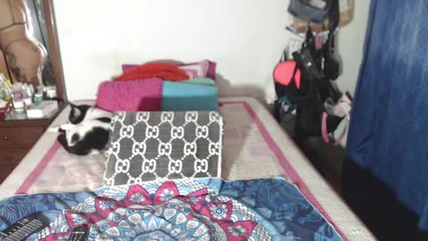 Snapshot of rousse_ellise1 chatting on 12.29.24 rousse online show from 12.29.24