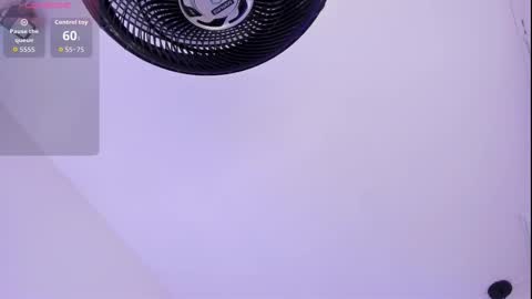 Roxie  online show from 03.16.26