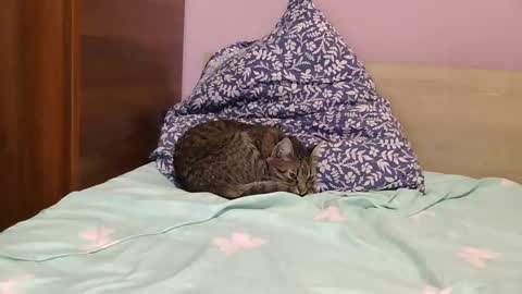 Snapshot of roxy_secrets chatting on 01.16.25 roxy secrets online show from 01.16.25