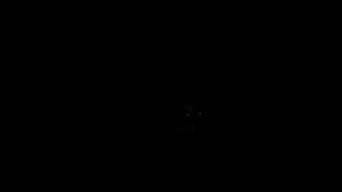 Snapshot of royce888 chatting on 11.16.25 royce888 online show from 11.16.25