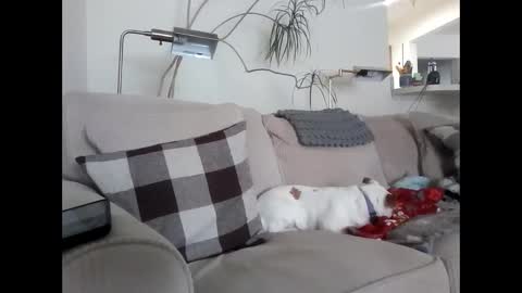 Rusty online show from 03.06.25