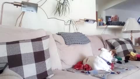 Rusty online show from 03.08.25