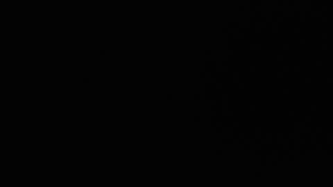 Ryushi009 online show from 01.24.25