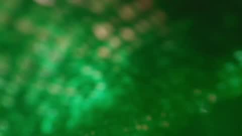 Snapshot of s_sofia_ chatting on 01.25.25 s_sofia_ online show from 01.25.25