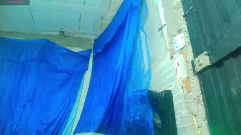 sofia online show from 11.06.25