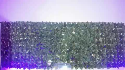 Sabina Merchetti online show from 03.17.26