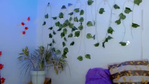 SABRI online show from 02.22.26