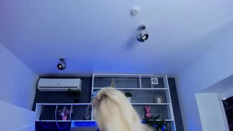 Sabrina online show from 03.29.26