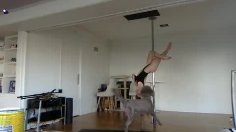 sadgirldies online show from 02.20.25