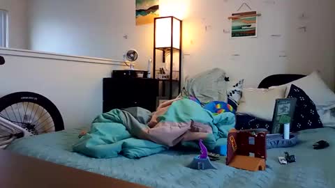 salis1981 online show from 11.24.25