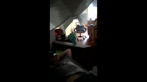 salis1981 online show from 03.21.26