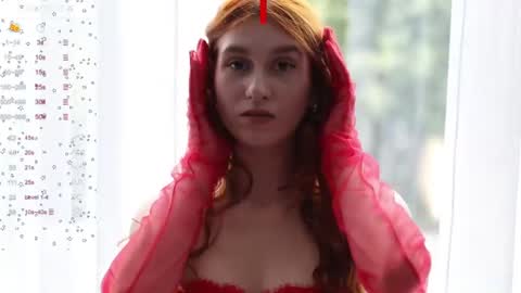 Snapshot of sallybiscuit chatting on 12.19.24 Sally online show from 12.19.24