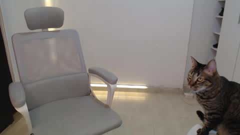 Snapshot of salome_010 chatting on 10.19.25 Salome online show from 10.19.25