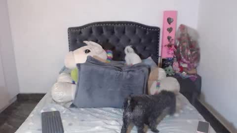 Snapshot of salomefox2 chatting on 01.06.26 yenny online show from 01.06.26