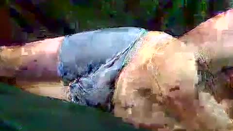 sam5554401727 online show from 11.10.25